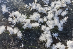 На коньках 4.jpg